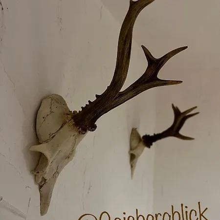 Gaisbergblick - Nationalpark Kalkalpen Molln
